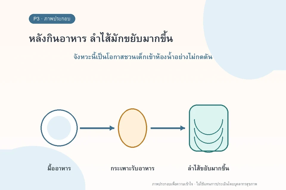 หลังกินอาหาร ลำไส้มักขยับมากขึ้น