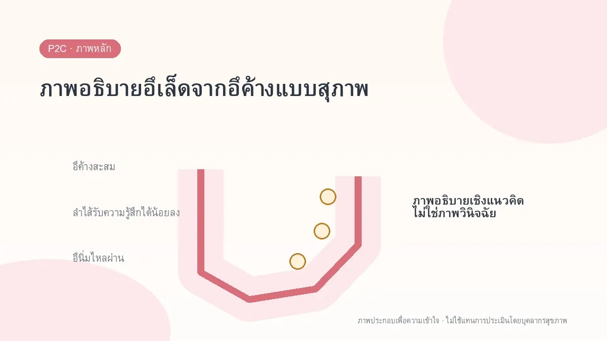 ภาพอธิบายอึเล็ดจากอึค้างแบบสุภาพ